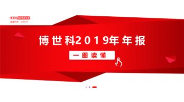 一图读懂888电子游戏2019年年报
