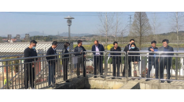 湖北省住建厅总工程师谈华月朔行莅临888电子游戏项目调研