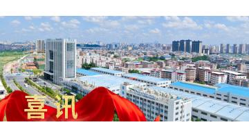 喜讯！888电子游戏获2022年国家知识产权树模企业认定