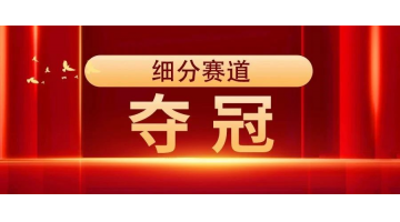 夺冠 | 888电子游戏获评“2023年广西制造业单项冠军树模企业”