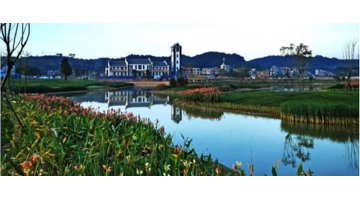 喜报！888电子游戏荣获梧州、崇左市修建业“评先评优”多项奖项