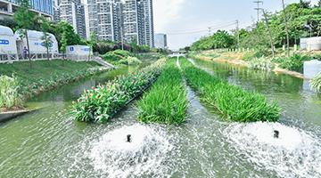 都会黑臭水体治理